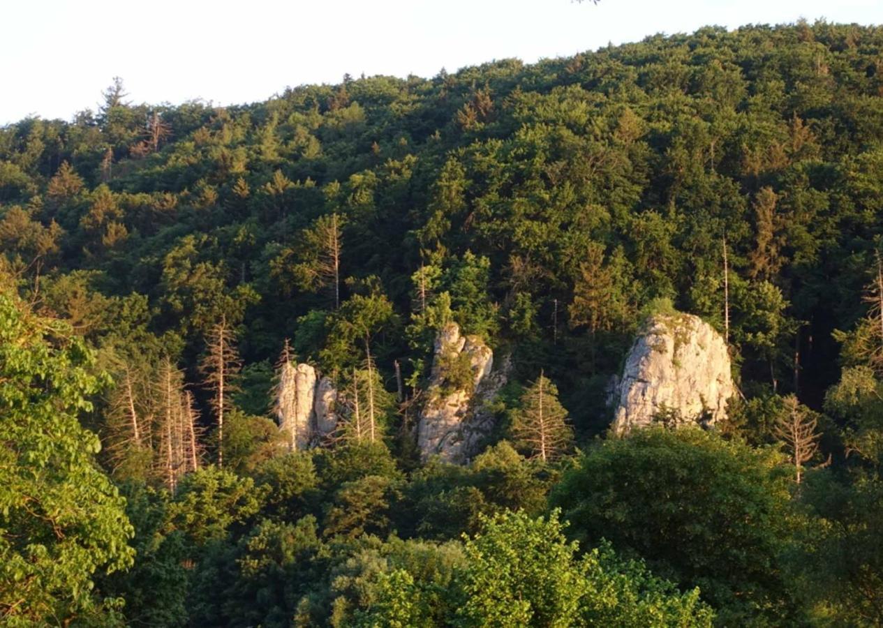 Fewo Lehner Риденбург Экстерьер фото